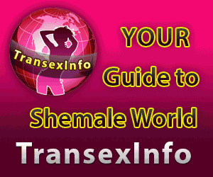 Shemale Guide